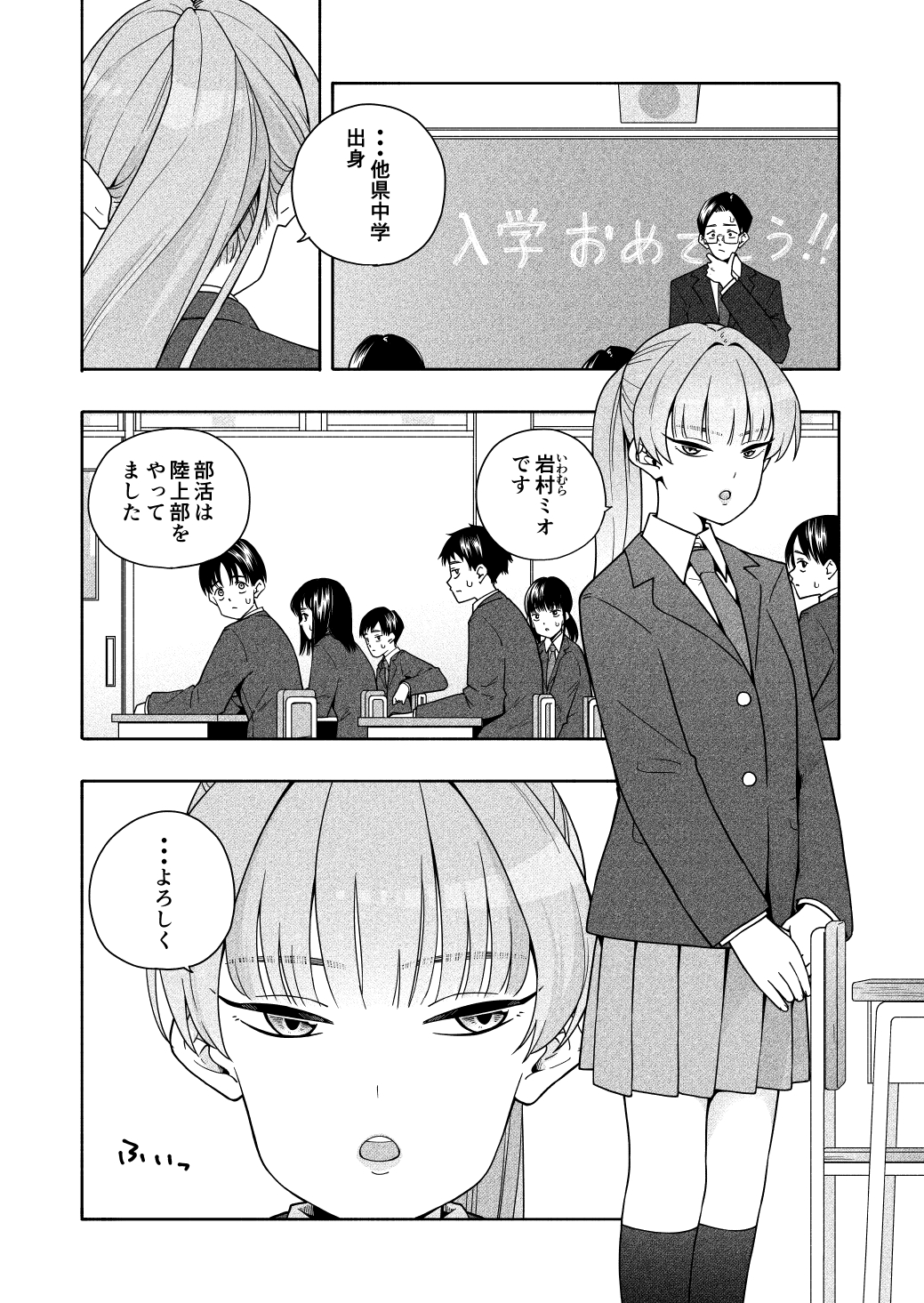 カムフラージュ12