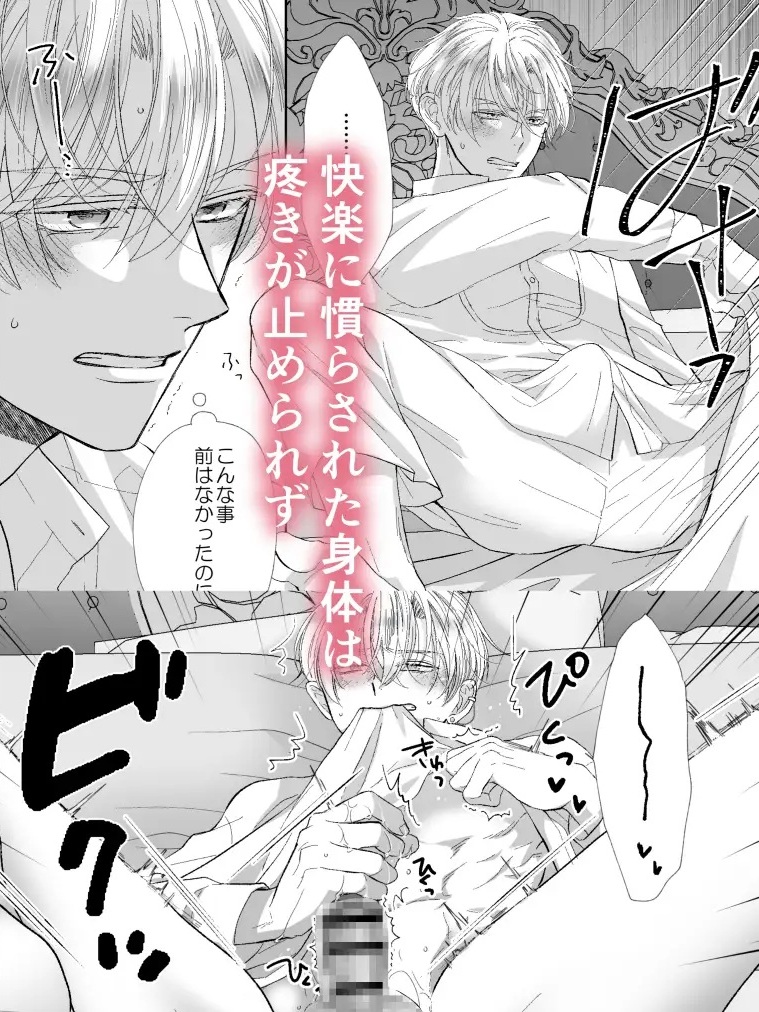 エロ漫画「辺境伯騎士の執着婚II」サンプル4