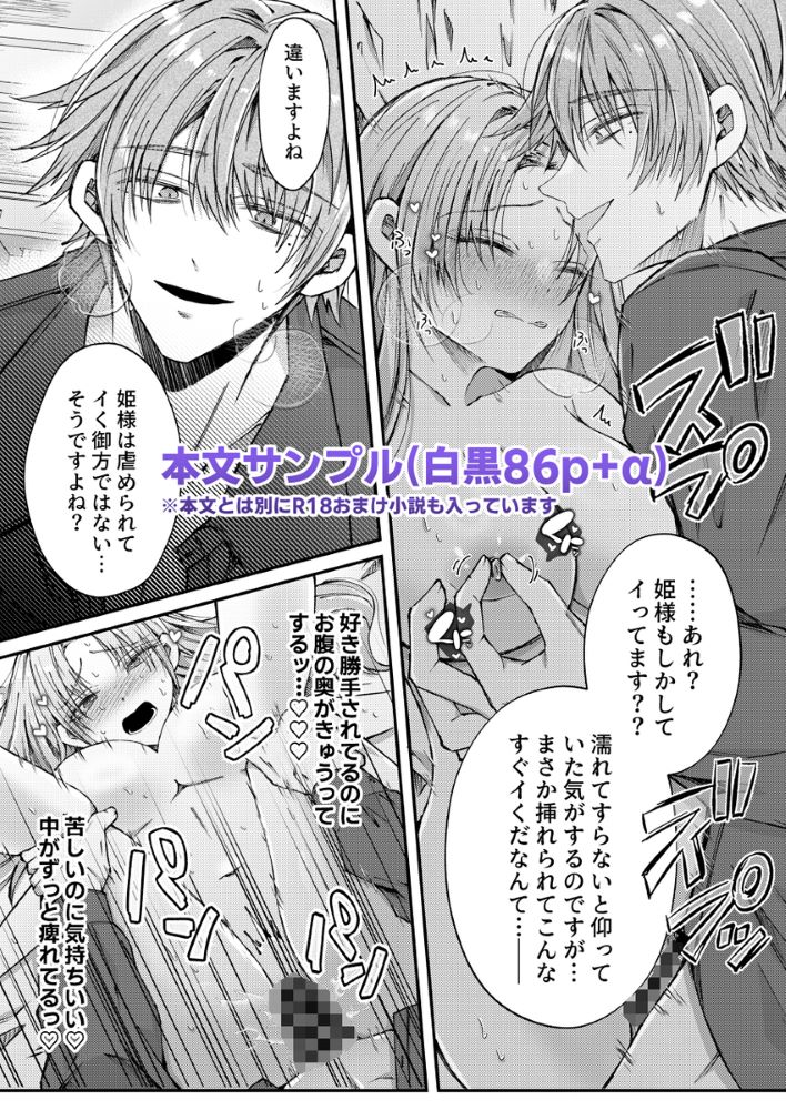 エロ漫画「姫様に忠誠を誓ったはずの軍人は、逆に誓いを求める狂犬になりました」無料サンプル10