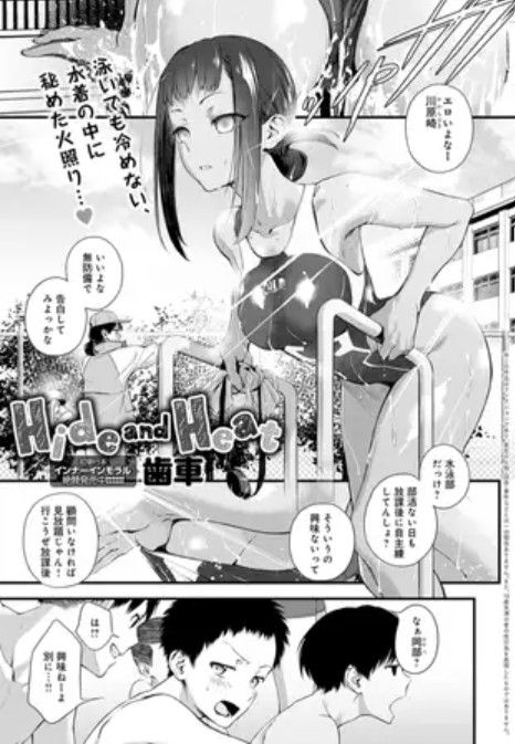 Hide and Heat2