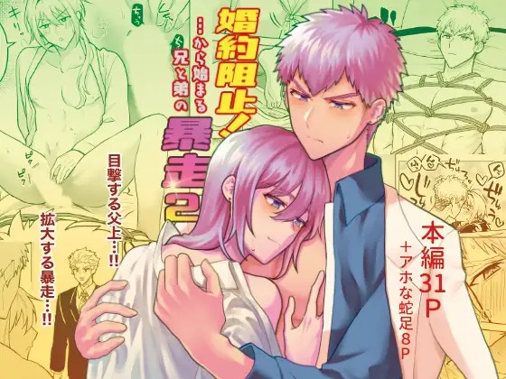 「婚約阻止!…から始まる兄と弟の暴走2」の作品情報