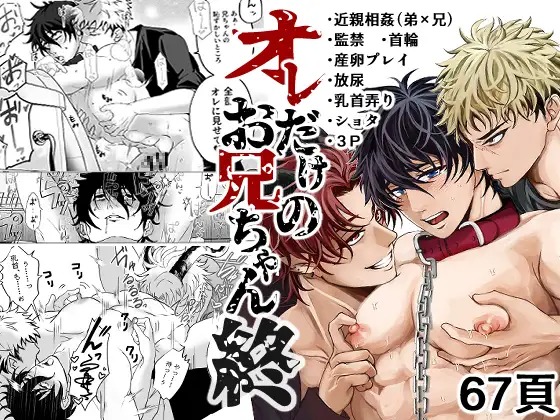 「オレだけのお兄ちゃん・終」の作品情報